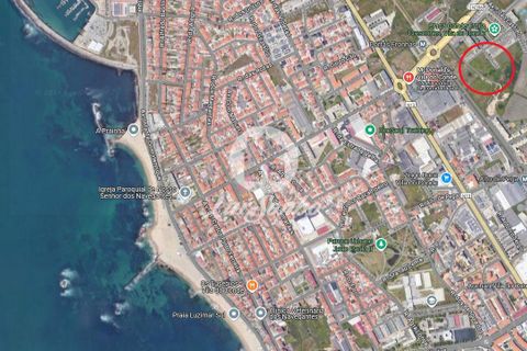 Helårsgrund i Vila do Conde, Porto, Vila do Conde - € 3.500.000 | Ref: 240-T-25409 - foto 15