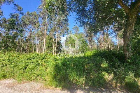 Tomt i Vila do Conde, Porto, Vila do Conde - € 135 000 | Ref: 240-T-25139 - foto 4