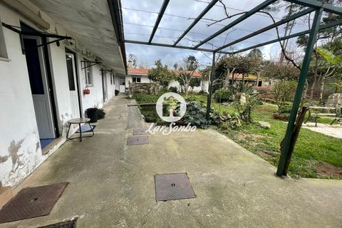 Rækkehus i Vila do Conde, Porto, Vila do Conde - € 470.000 | Ref: 240-M-25489 - foto 3