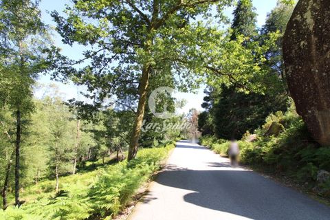 Helårsgrund i Terras de Bouro, Braga, Terras de Bouro - € 108.000 | Ref: 240-T-25209 - foto 1