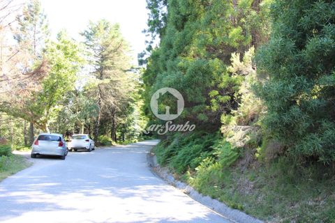 Helårsgrund i Terras de Bouro, Braga, Terras de Bouro - € 108.000 | Ref: 240-T-25209 - foto 2