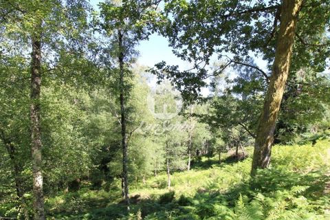 Helårsgrund i Terras de Bouro, Braga, Terras de Bouro - € 108.000 | Ref: 240-T-25209 - foto 3