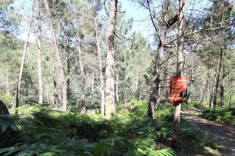 Helårsgrund i Terras de Bouro, Braga, Terras de Bouro - € 108.000 | Ref: 240-T-25209 - foto 4