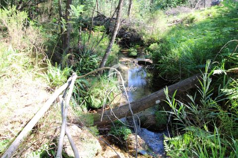Helårsgrund i Terras de Bouro, Braga, Terras de Bouro - € 108.000 | Ref: 240-T-25209 - foto 5