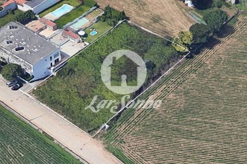 Helårsgrund i Vila do Conde, Porto, Vila do Conde - € 249.000 | Ref: 240-T-24772 - foto 4