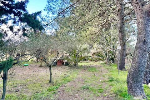 Villa a Giuliana, Palermo, Giuliana - € 69.000 | Ref: 8682RV17584 - foto 10