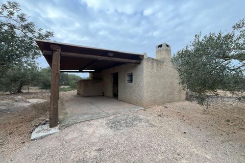 Landejendom i L'Ampolla, Tarragona, L'Ampolla - € 56.000 | Ref: FZAM460/6931 - foto 6