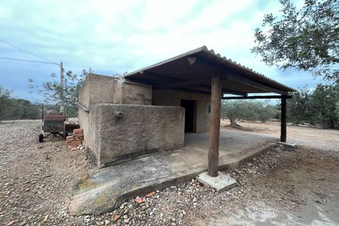 Landejendom i L'Ampolla, Tarragona, L'Ampolla - € 56.000 | Ref: FZAM460/6931 - foto 9