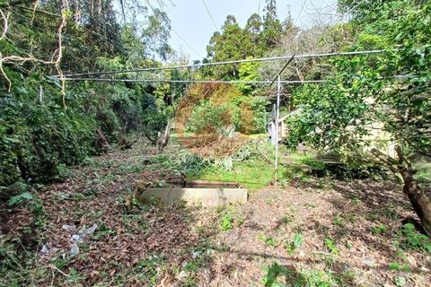 Byhus i Calheta, Sao Jorge, Calheta - € 140.000 | Ref: M988 - foto 26