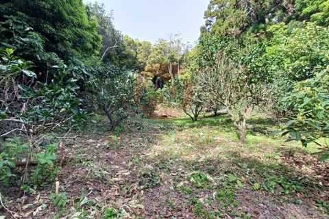 Byhus i Calheta, Sao Jorge, Calheta - € 140.000 | Ref: M988 - foto 27