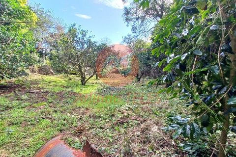 Byhus i Calheta, Sao Jorge, Calheta - € 140.000 | Ref: M988 - foto 29
