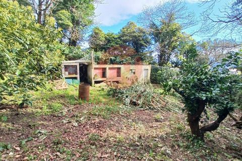 Byhus i Calheta, Sao Jorge, Calheta - € 140.000 | Ref: M988 - foto 30