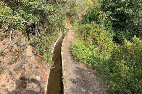 Helårsgrund i Monchique, Faro, Monchique - € 30.000 | Ref: T-525 - foto 2