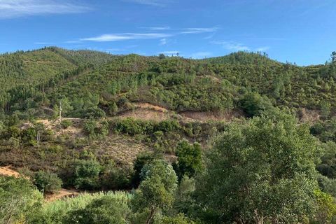 Helårsgrund i Monchique, Faro, Monchique - € 30.000 | Ref: T-525 - foto 3