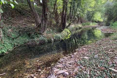 Helårsgrund i Monchique, Faro, Monchique - € 30.000 | Ref: T-525 - foto 4