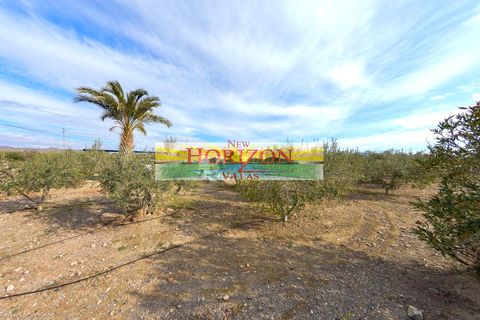 Rækkehus i Huercal-Overa, Almeria, Huercal-Overa - € 150.000 | Ref: 62761 - foto 2