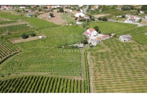 Farm i Moncao, Viana do Castelo, Moncao - € 550.000 | Ref: EM360 - foto 3