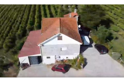 Farm i Moncao, Viana do Castelo, Moncao - € 550.000 | Ref: EM360 - foto 4