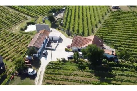 Farm i Moncao, Viana do Castelo, Moncao - € 550.000 | Ref: EM360 - foto 7