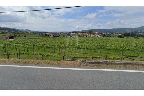 Farm i Moncao, Viana do Castelo, Moncao - € 550.000 | Ref: EM360 - foto 9