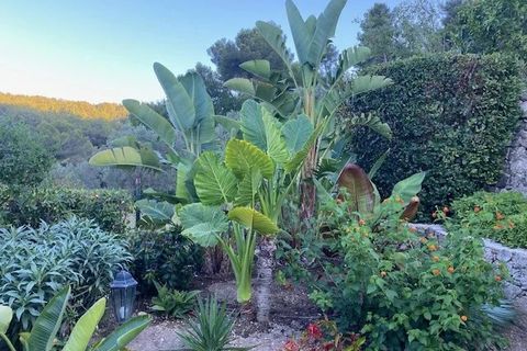 Masia a Vallauris, Alpes-Maritimes, Vallauris - € 1.180.000 | Ref: 85691238 - foto 8