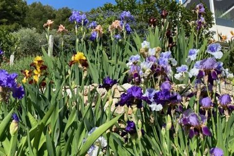 Masia a Vallauris, Alpes-Maritimes, Vallauris - € 1.180.000 | Ref: 85691238 - foto 30
