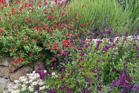 Masia a Vallauris, Alpes-Maritimes, Vallauris - € 1.180.000 | Ref: 85691238 - foto 31
