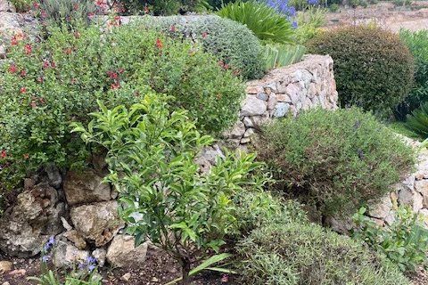 Masia a Vallauris, Alpes-Maritimes, Vallauris - € 1.180.000 | Ref: 85691238 - foto 39