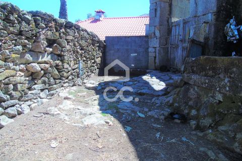 Villa i Ribeira de Pena, Vila Real, Ribeira de Pena - € 42.500 | Ref: 336/M/01713 - foto 8