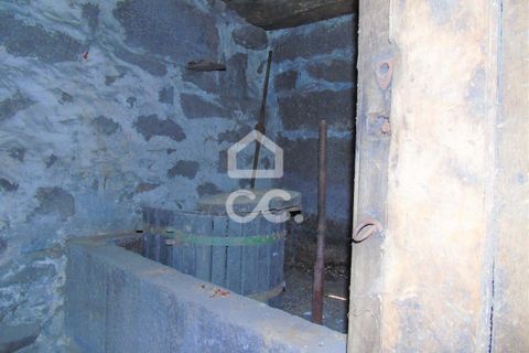 Villa i Ribeira de Pena, Vila Real, Ribeira de Pena - € 42.500 | Ref: 336/M/01713 - foto 9