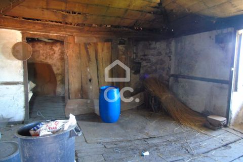 Villa i Ribeira de Pena, Vila Real, Ribeira de Pena - € 42.500 | Ref: 336/M/01713 - foto 12