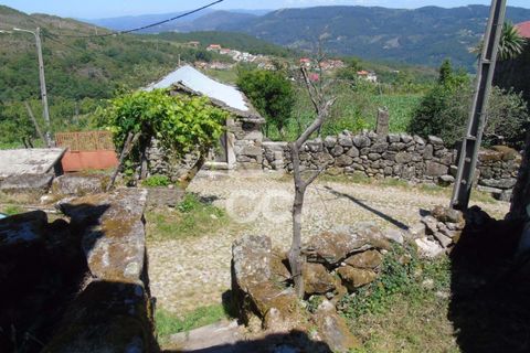Villa i Ribeira de Pena, Vila Real, Ribeira de Pena - € 42.500 | Ref: 336/M/01713 - foto 15