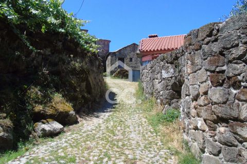 Villa i Ribeira de Pena, Vila Real, Ribeira de Pena - € 42.500 | Ref: 336/M/01713 - foto 16