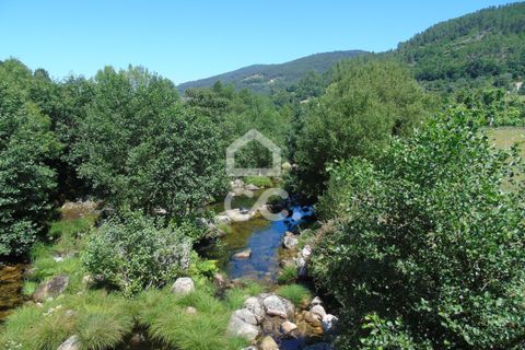 Villa i Ribeira de Pena, Vila Real, Ribeira de Pena - € 42.500 | Ref: 336/M/01713 - foto 20