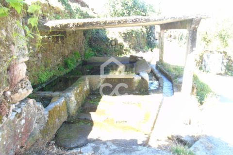 Villa i Ribeira de Pena, Vila Real, Ribeira de Pena - € 42.500 | Ref: 336/M/01713 - foto 21