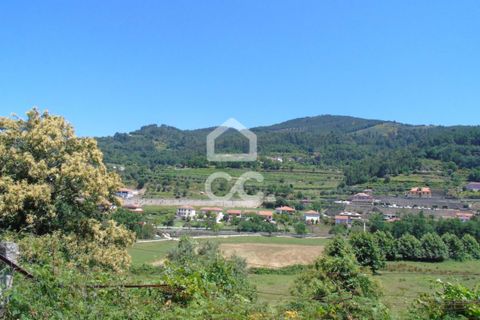 Villa i Ribeira de Pena, Vila Real, Ribeira de Pena - € 42.500 | Ref: 336/M/01713 - foto 22
