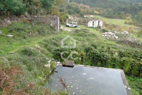 Farm hus i Celorico de Basto, Braga, Celorico de Basto - € 170.000 | Ref: 336/Q/01768 - foto 2