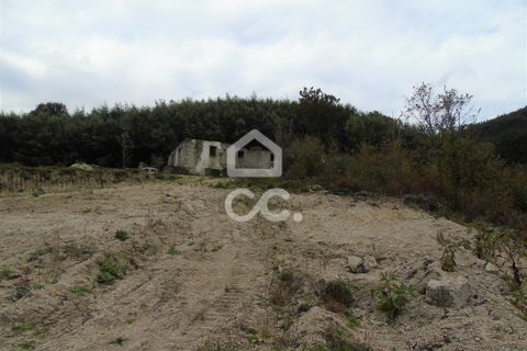 Farm hus i Celorico de Basto, Braga, Celorico de Basto - € 170.000 | Ref: 336/Q/01768 - foto 4