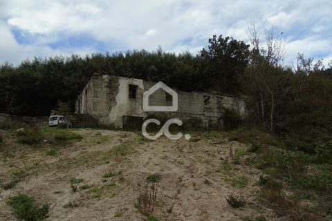 Farm hus i Celorico de Basto, Braga, Celorico de Basto - € 170.000 | Ref: 336/Q/01768 - foto 6