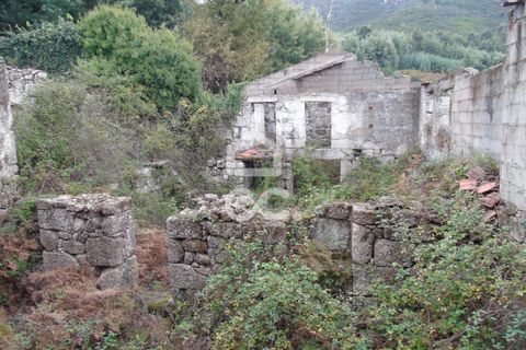 Farm hus i Celorico de Basto, Braga, Celorico de Basto - € 170.000 | Ref: 336/Q/01768 - foto 8