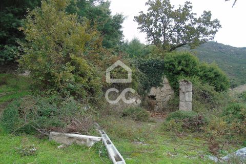 Farm hus i Celorico de Basto, Braga, Celorico de Basto - € 170.000 | Ref: 336/Q/01768 - foto 10