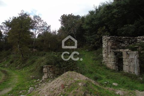 Farm hus i Celorico de Basto, Braga, Celorico de Basto - € 170.000 | Ref: 336/Q/01768 - foto 12