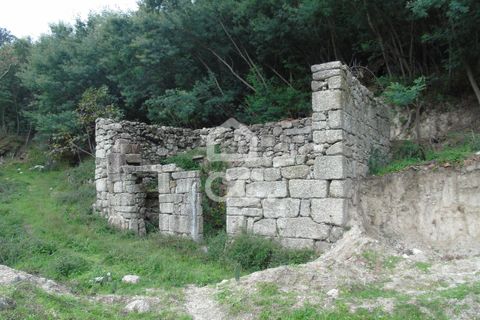 Farm hus i Celorico de Basto, Braga, Celorico de Basto - € 170.000 | Ref: 336/Q/01768 - foto 13