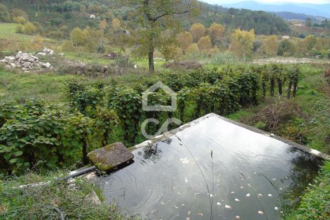 Farm hus i Celorico de Basto, Braga, Celorico de Basto - € 170.000 | Ref: 336/Q/01768 - foto 14