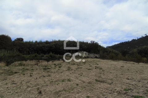 Farm hus i Celorico de Basto, Braga, Celorico de Basto - € 170.000 | Ref: 336/Q/01768 - foto 15