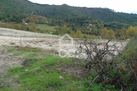 Farm hus i Celorico de Basto, Braga, Celorico de Basto - € 170.000 | Ref: 336/Q/01768 - foto 16