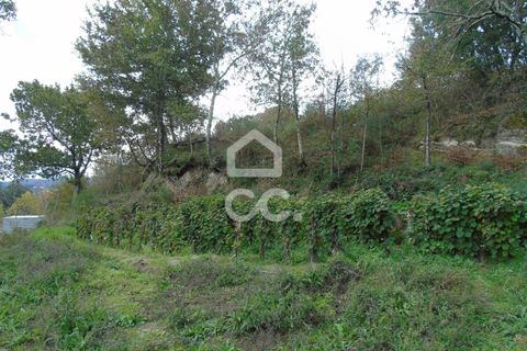 Farm hus i Celorico de Basto, Braga, Celorico de Basto - € 170.000 | Ref: 336/Q/01768 - foto 20