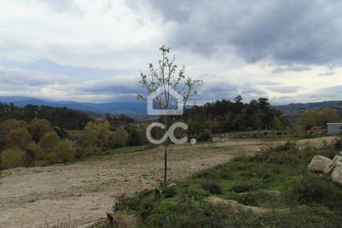 Farm hus i Celorico de Basto, Braga, Celorico de Basto - € 170.000 | Ref: 336/Q/01768 - foto 21