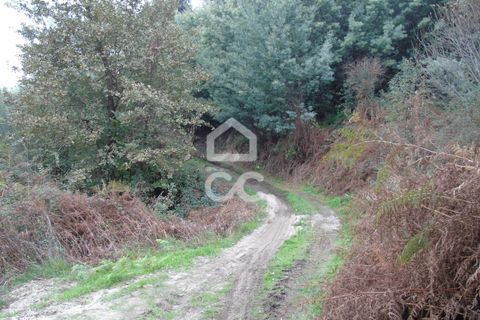 Farm hus i Celorico de Basto, Braga, Celorico de Basto - € 170.000 | Ref: 336/Q/01768 - foto 23