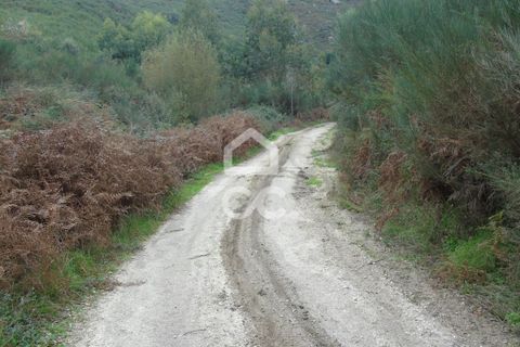 Farm hus i Celorico de Basto, Braga, Celorico de Basto - € 170.000 | Ref: 336/Q/01768 - foto 24